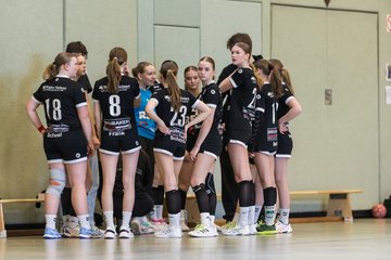 Bild 238 - wBJ SV Henstedt Ulzburg - Bramstedter TS : Ergebnis: 27:15